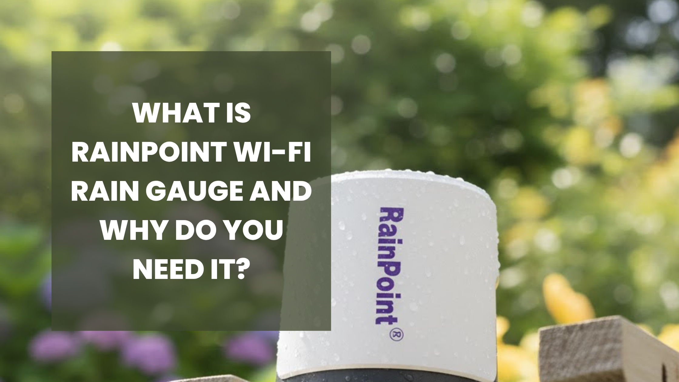 What Is RainPoint Wi-Fi Rain Gauge and Why Do You Need It?