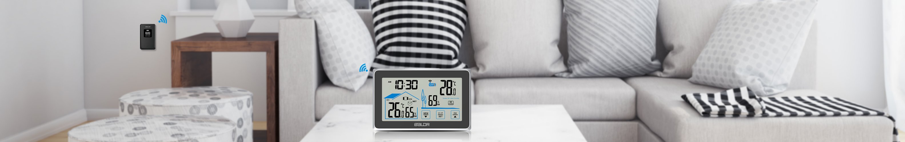 THERMOMETER - BALDR Electronic