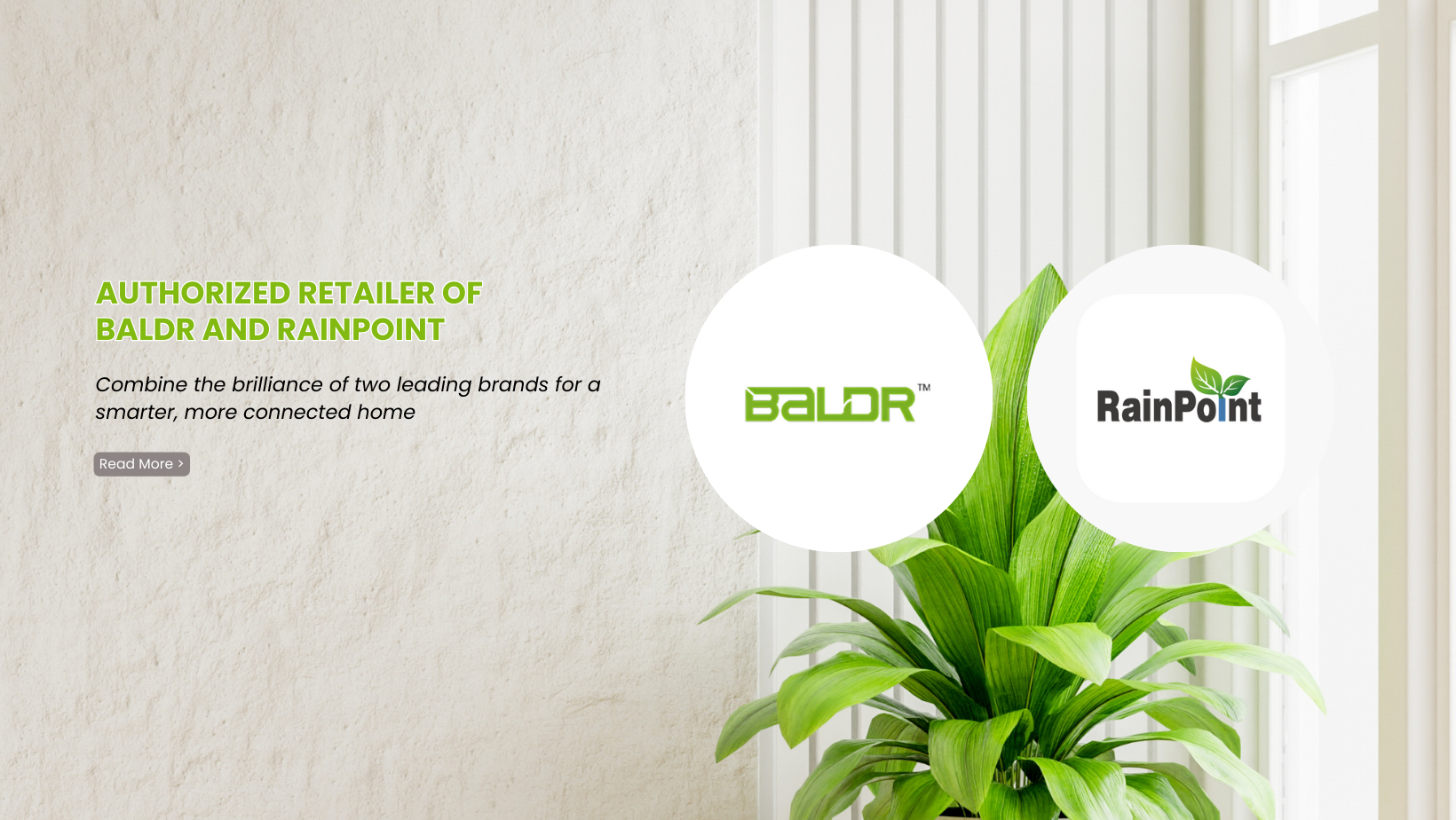 Authorized_retailer_of_baldr_and_rainpoint
