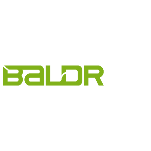 BALDR Electronic logo