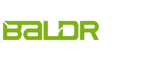 BALDR Electronic