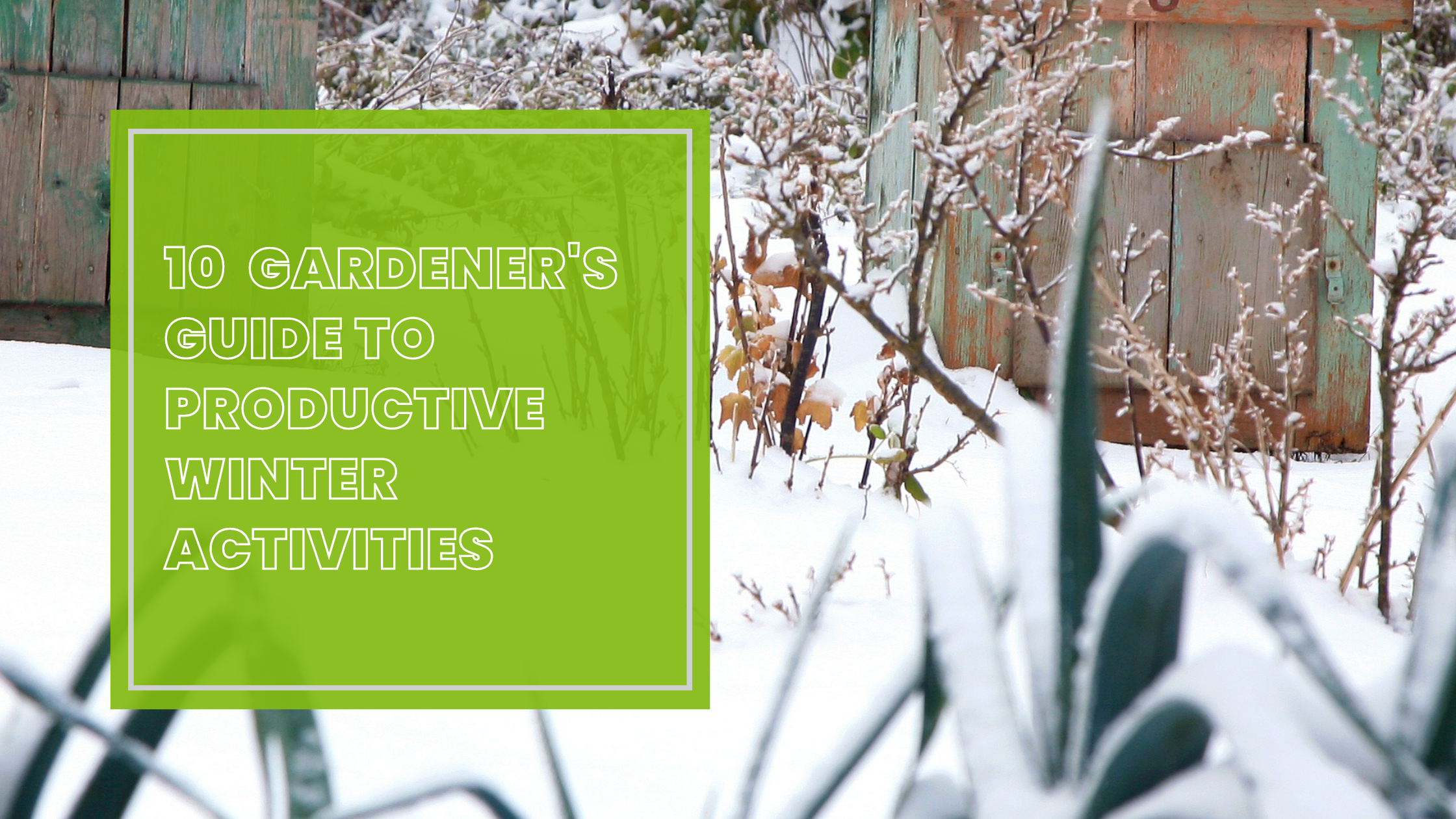 10 Cozy Gardener's Guide to Productive Winter Activities