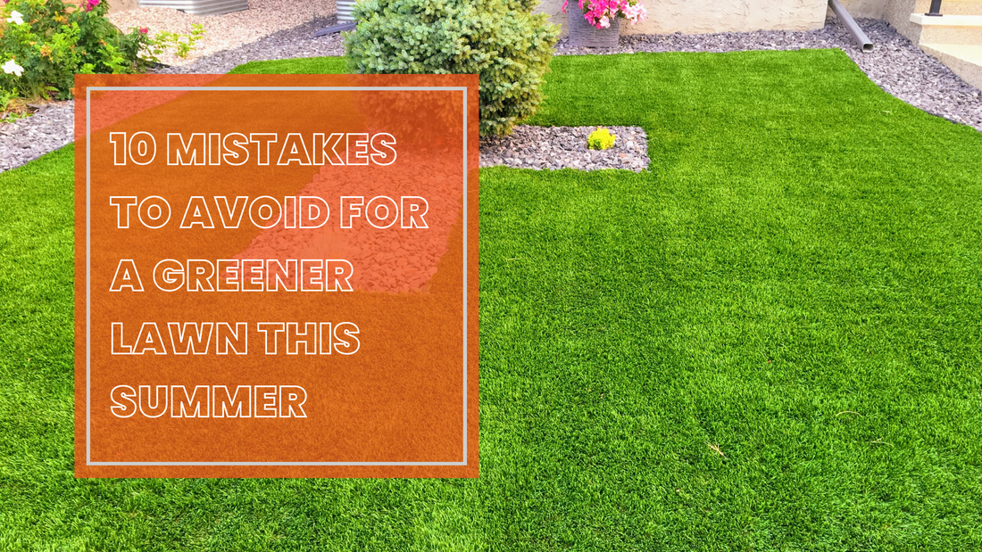 10 Mistakes to Avoid for a Greener Lawn this Summer