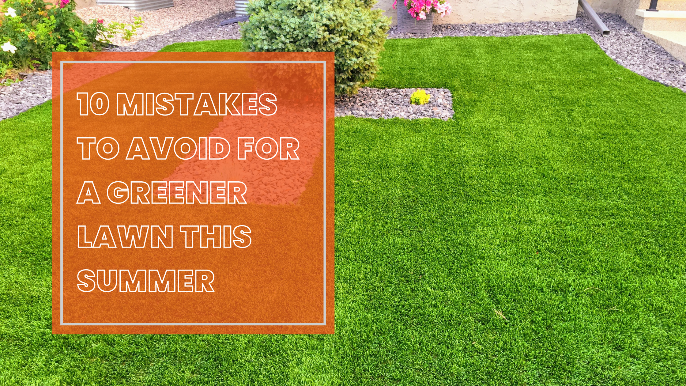 10 Mistakes to Avoid for a Greener Lawn this Summer
