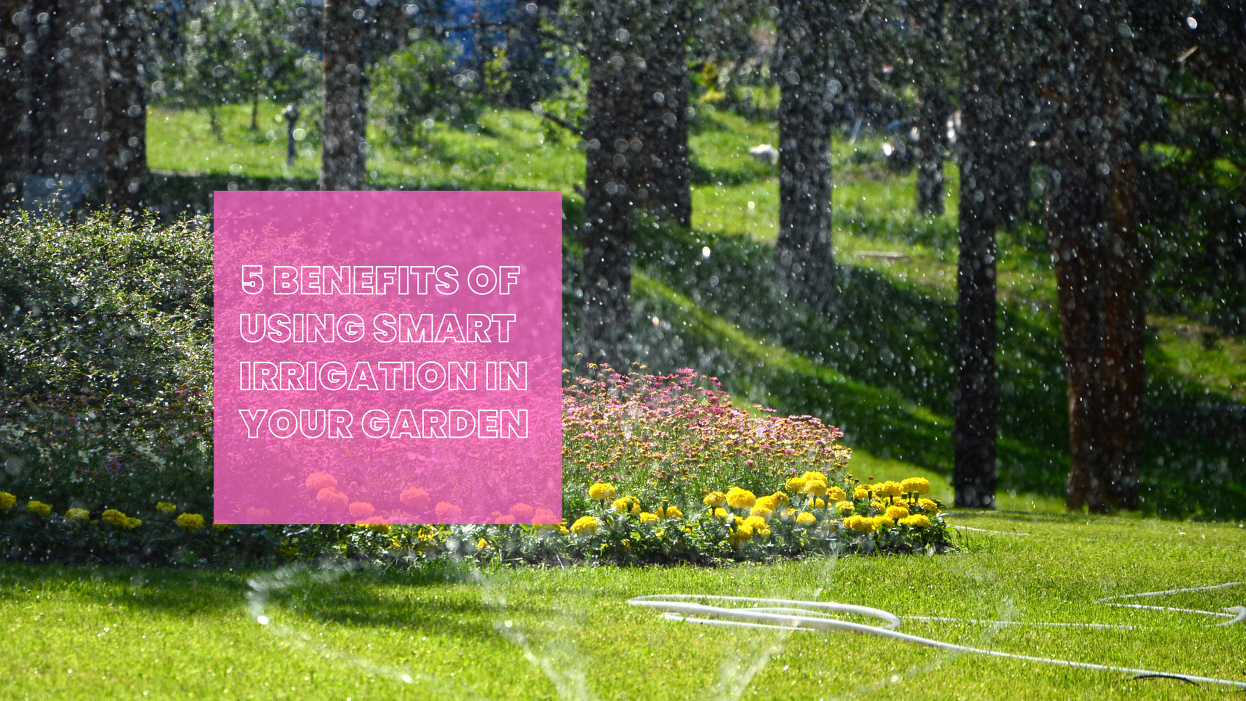 5 Benefits of Using Smart Irrigation in Your Garden
