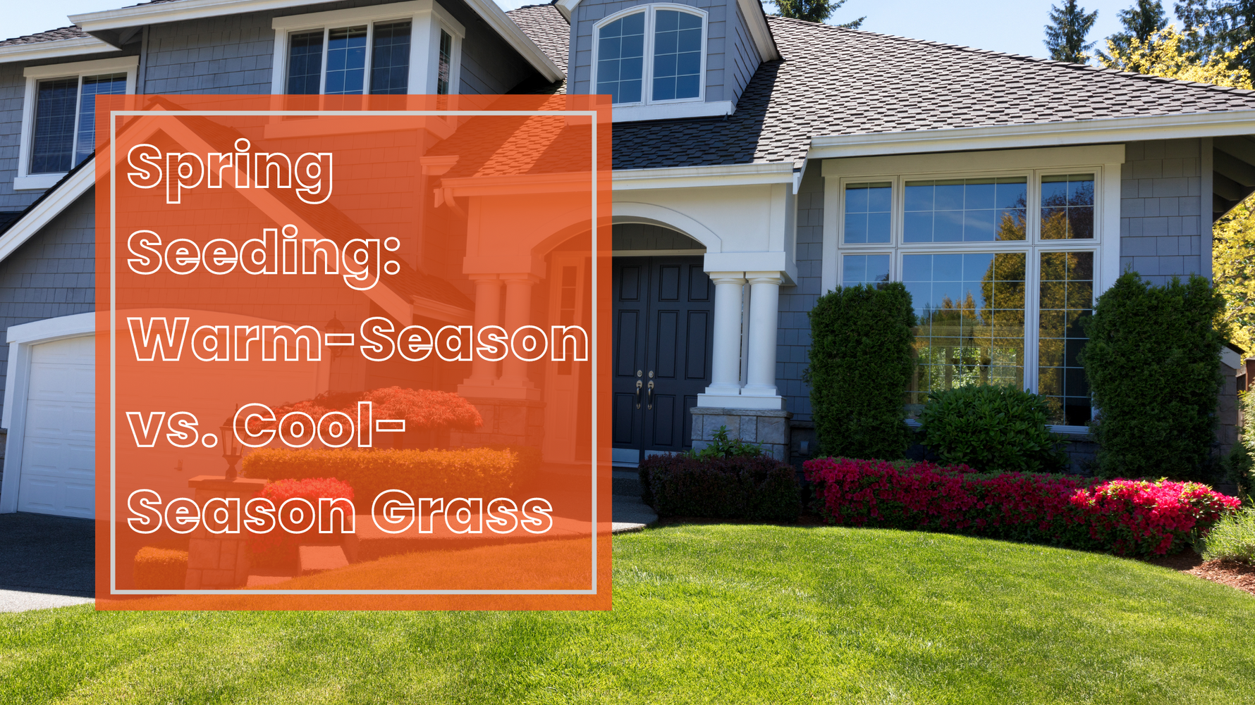 Spring Seeding: Warm-Season vs. Cool-Season Grass