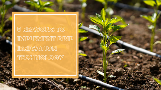 5 Reasons to Implement Drip Irrigation Technology