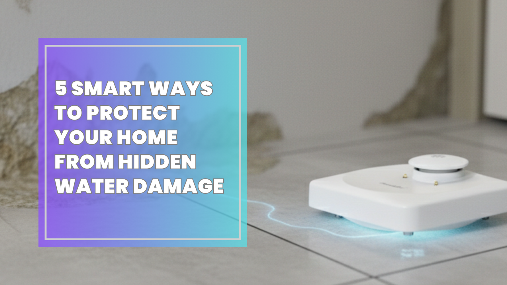 5 Smart Ways to Protect Your Home From Hidden Water Damage