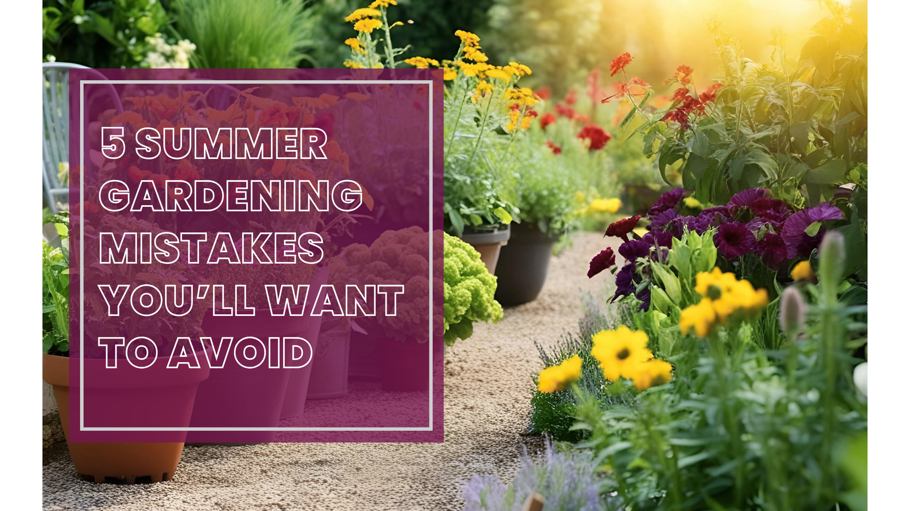 5 Summer Gardening Mistakes You’ll Want to Avoid (And What to Do Instead)