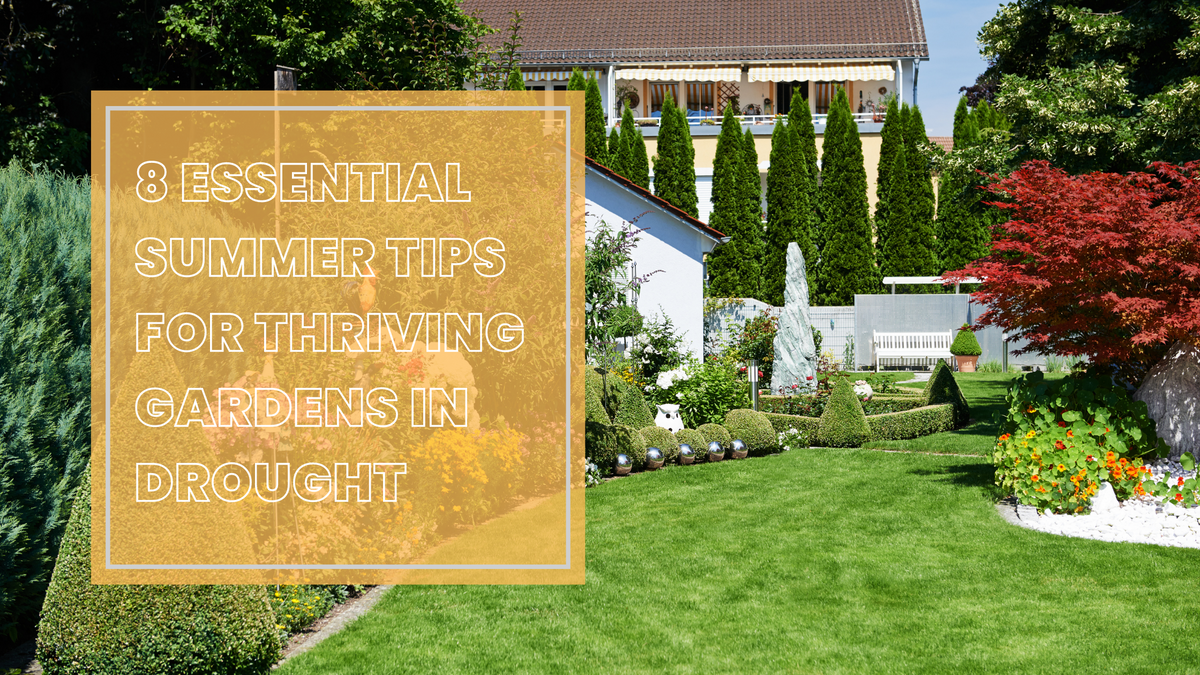 8 Essential Summer Tips for Thriving Gardens in Drought – BALDR Electronic