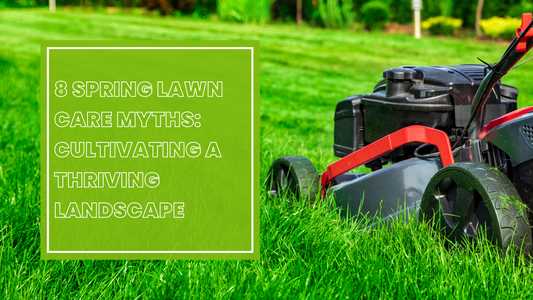 8 Spring Lawn Care Myths: Cultivating a Thriving Landscape
