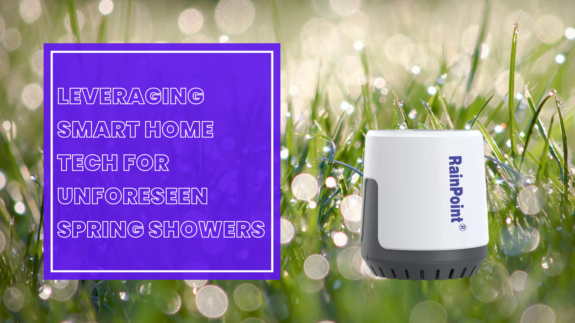 Leveraging Smart Home Tech for Unforeseen Spring Showers
