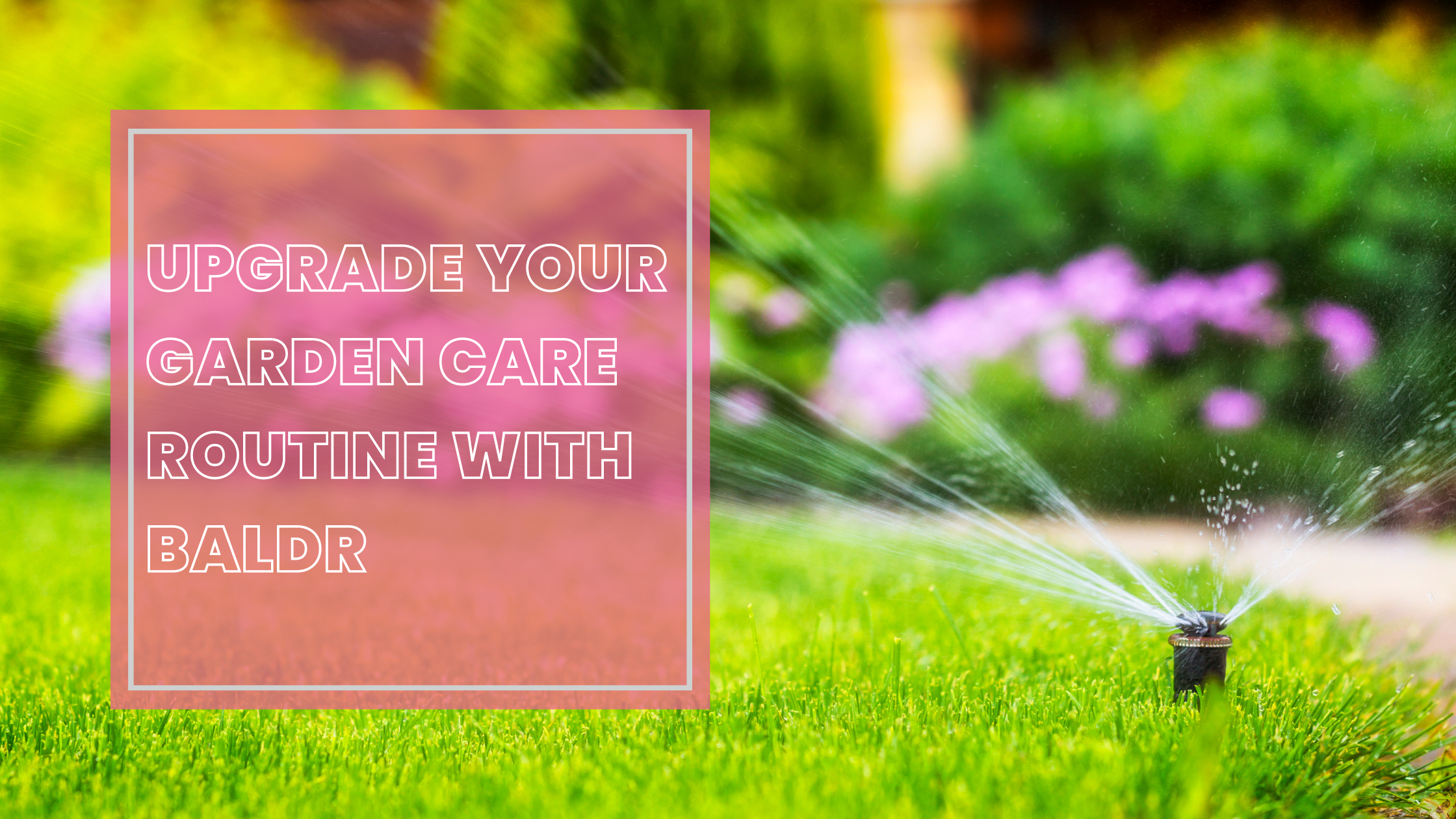 Upgrade Your Garden Care Routine with Baldr