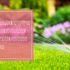 Upgrade Your Garden Care Routine with Baldr