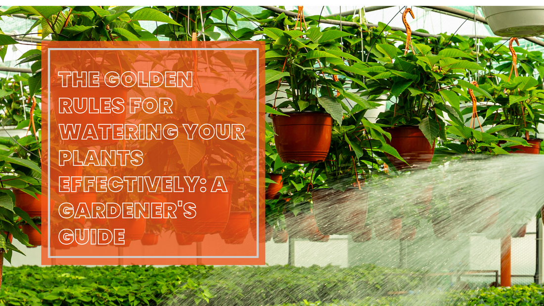 The Golden Rules for Watering Your Plants Effectively: A Gardener's Guide