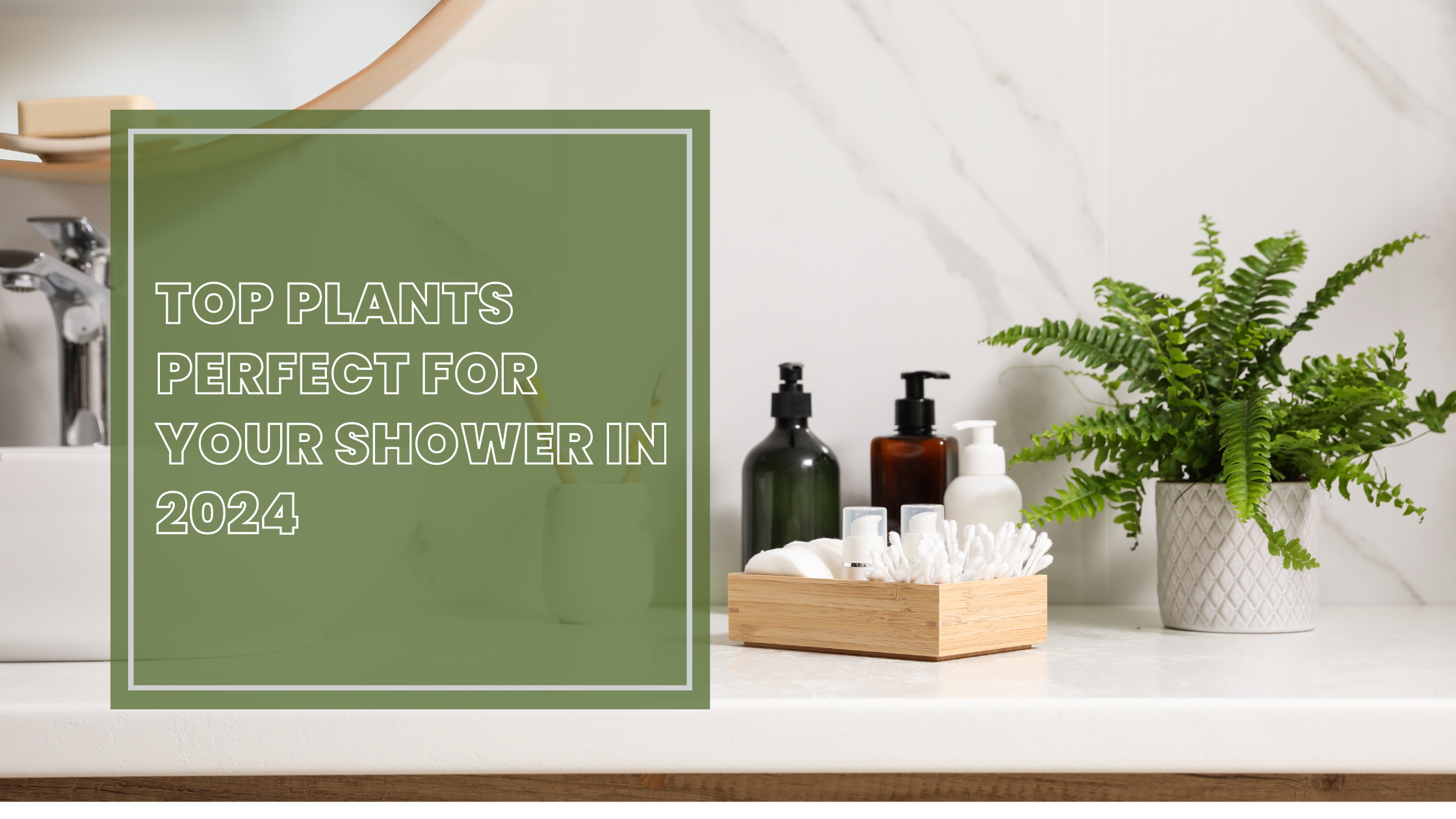 Top Plants Perfect for Your Shower in 2024