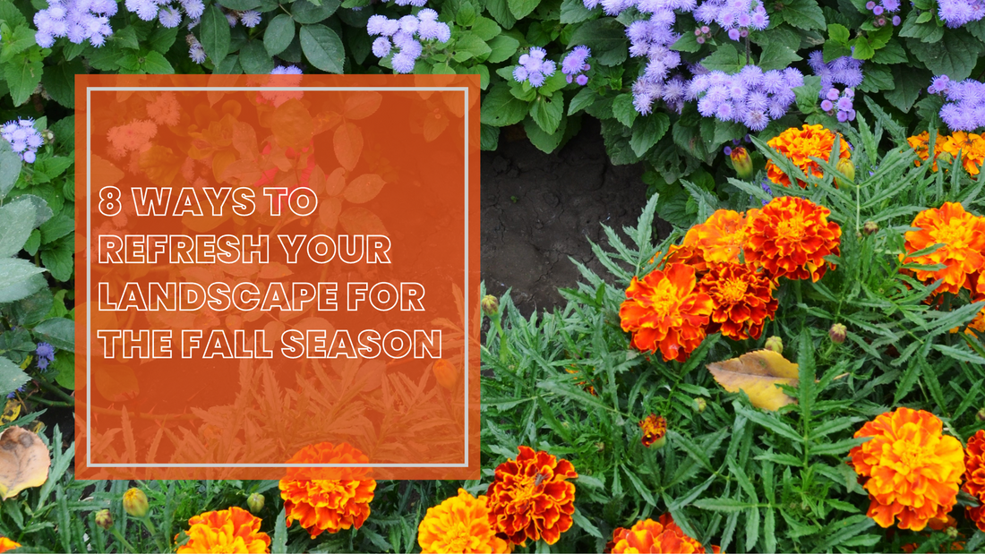 8 Ways to Refresh Your Landscape for the Fall Season