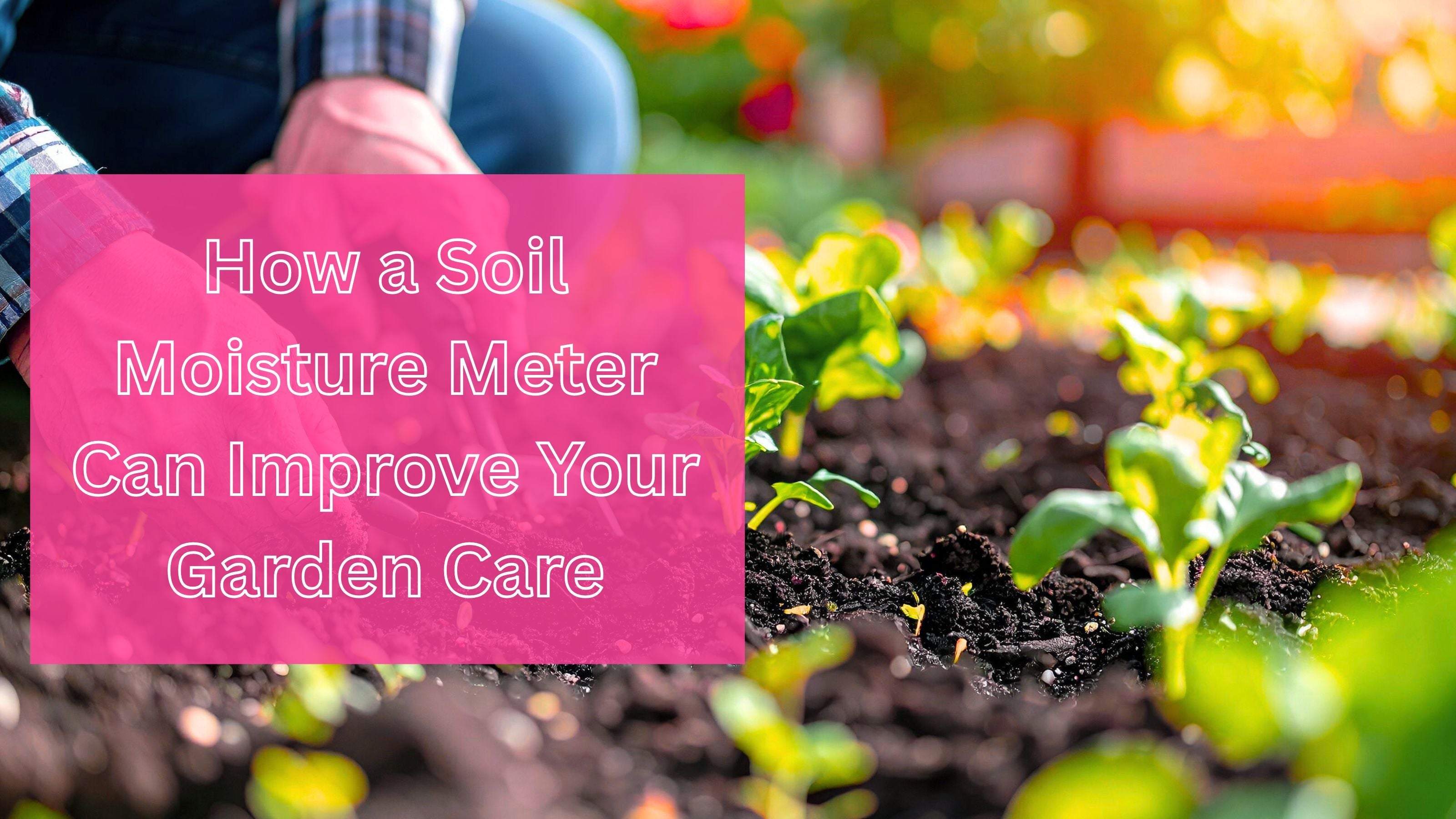 soil moisture meter