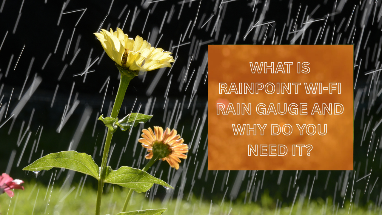What Is RainPoint Wi-Fi Rain Gauge and Why Do You Need It?