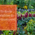 Learn How To Grow Vegetables In Your Backyard
