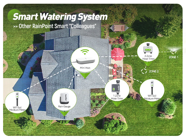 RAINPOINT Smart Wireless Plant Moisture Meter for Indoor Plants