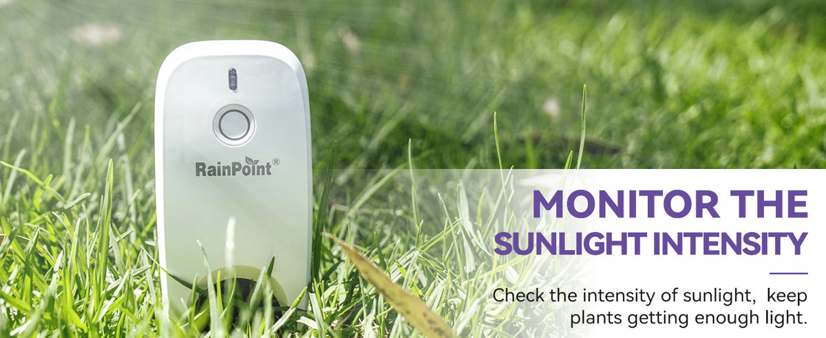 A+ Content Carousel Images