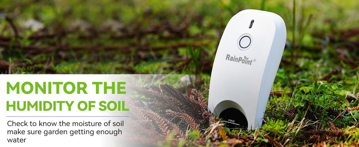 A+ Content Carousel Images