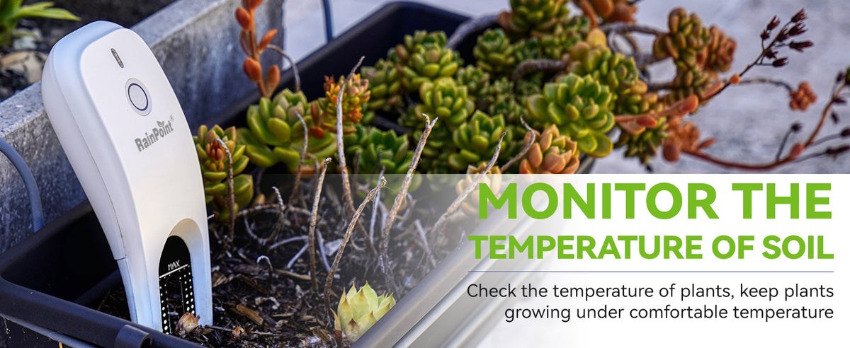 A+ Content Carousel Images