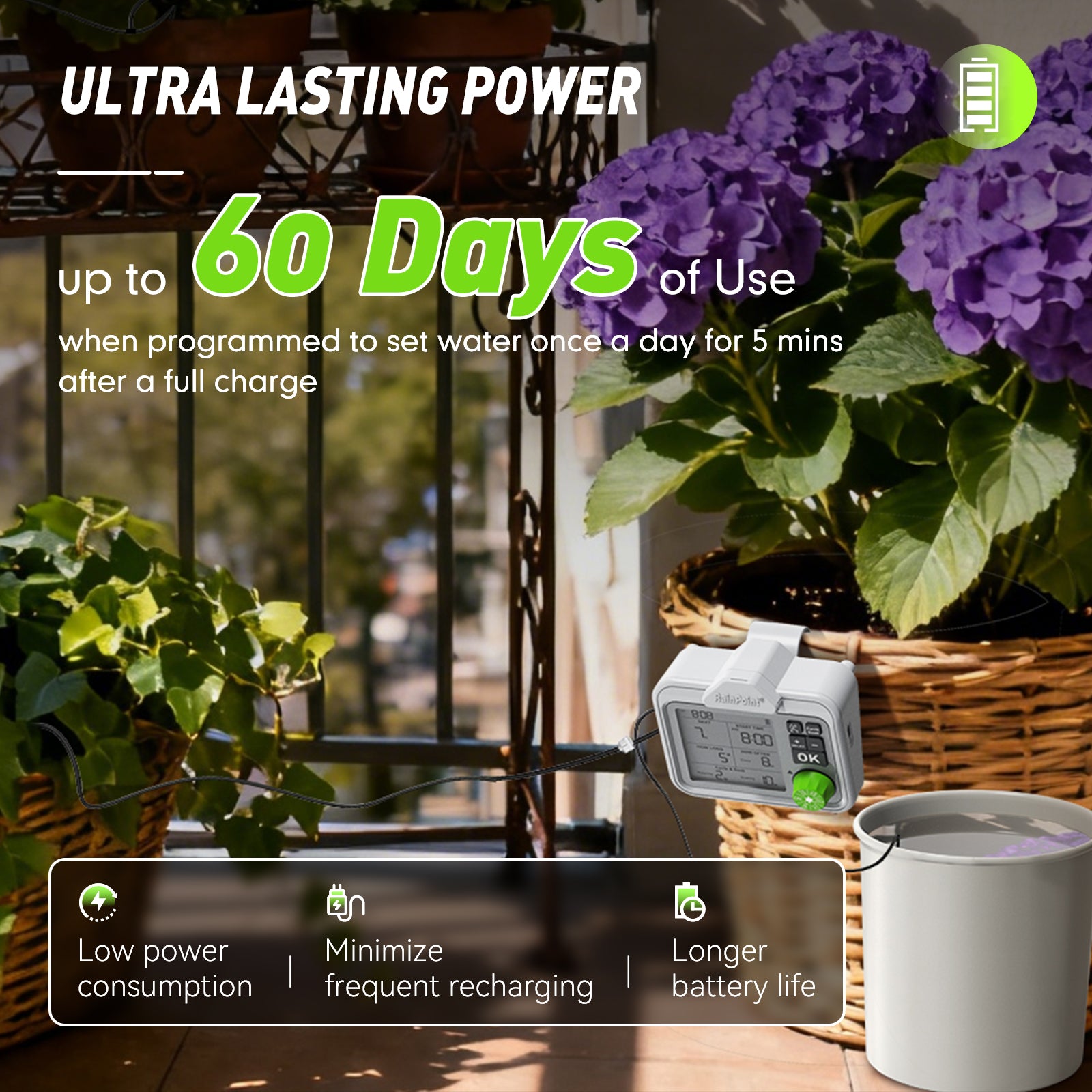 RAINPOINT Automatic Plant Watering System with Large Display
