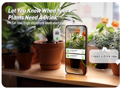 RAINPOINT Smart Digital Wireless Plant Moisture Meter Houseplant Indoor, Leave-in Soil Hygrometer Sensor, Real-time Monitor Humidity