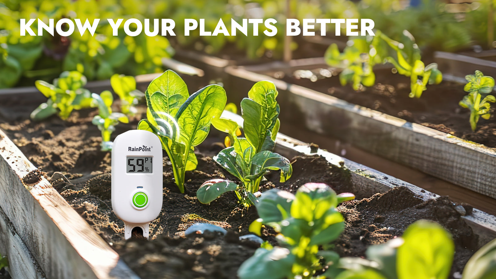 RAINPOINT Smart Wireless Plant Moisture Meter for Indoor Plants