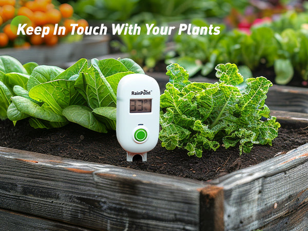RAINPOINT Smart Wireless Plant Moisture Meter for Indoor Plants