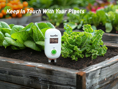 RAINPOINT Smart Digital Wireless Plant Moisture Meter Houseplant Indoor, Leave-in Soil Hygrometer Sensor, Real-time Monitor Humidity