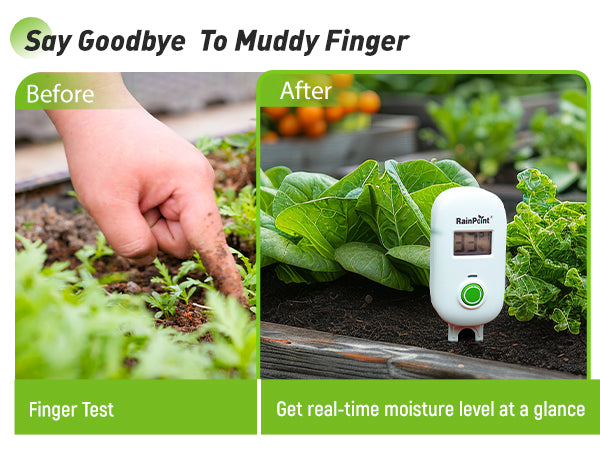 RAINPOINT Smart Wireless Plant Moisture Meter for Indoor Plants