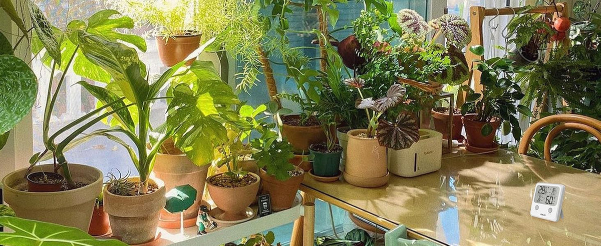 A+ Content Carousel Images