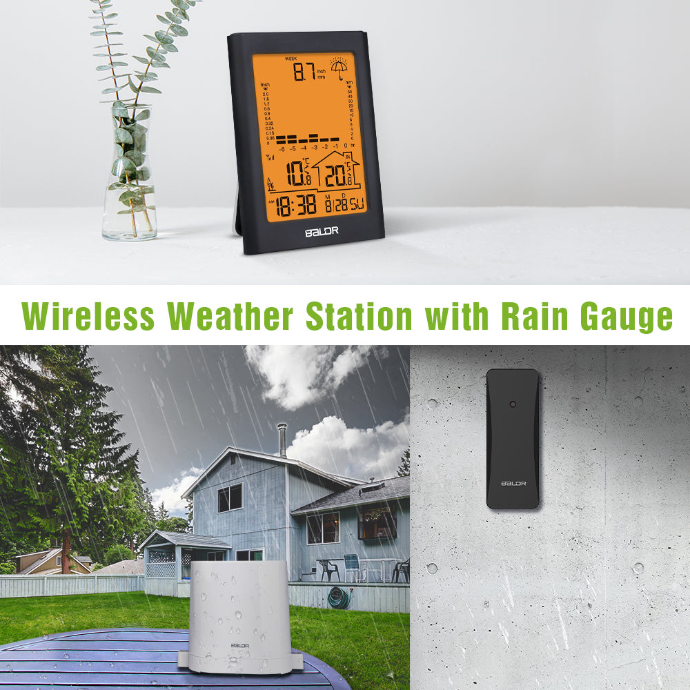Springfield Weather Instruments Springfield Digital Rain Gauge Wireless