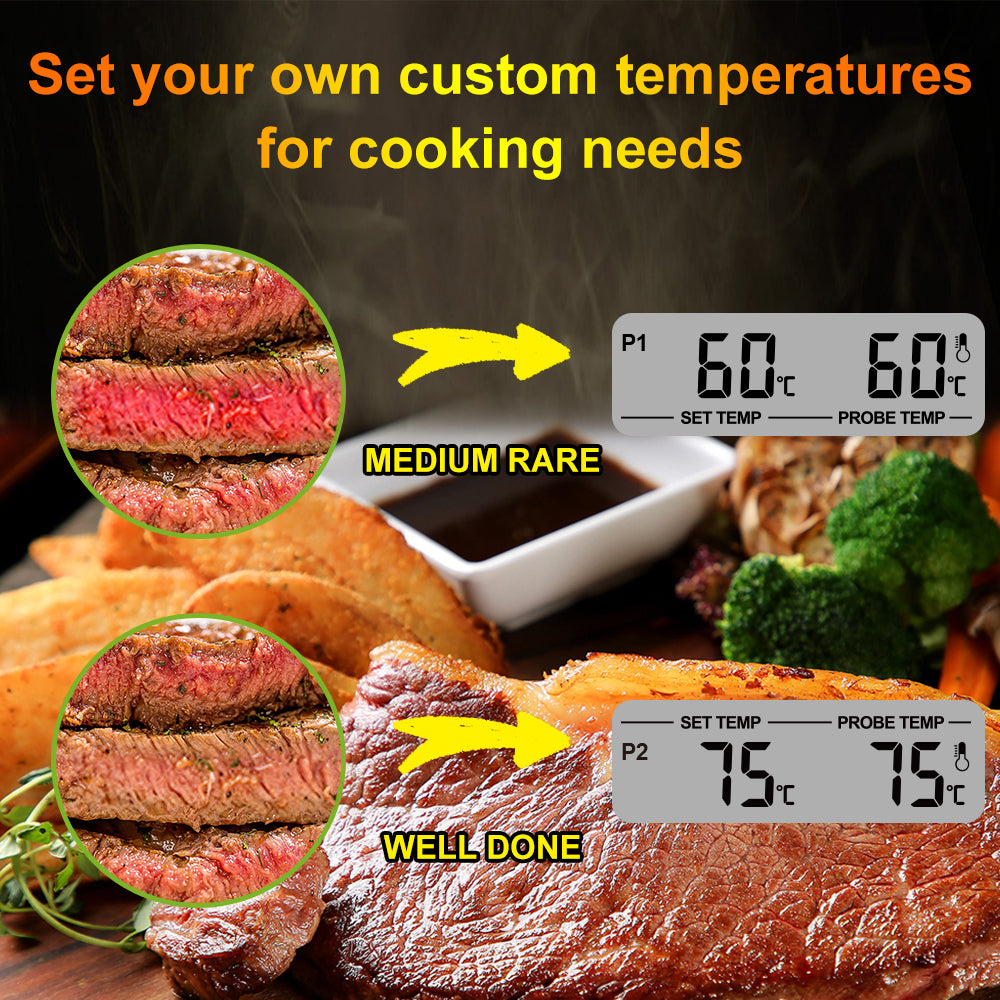 BALDR Dual Probe Digital Cooking Thermometer, Monitor Two Different Foods with Timer